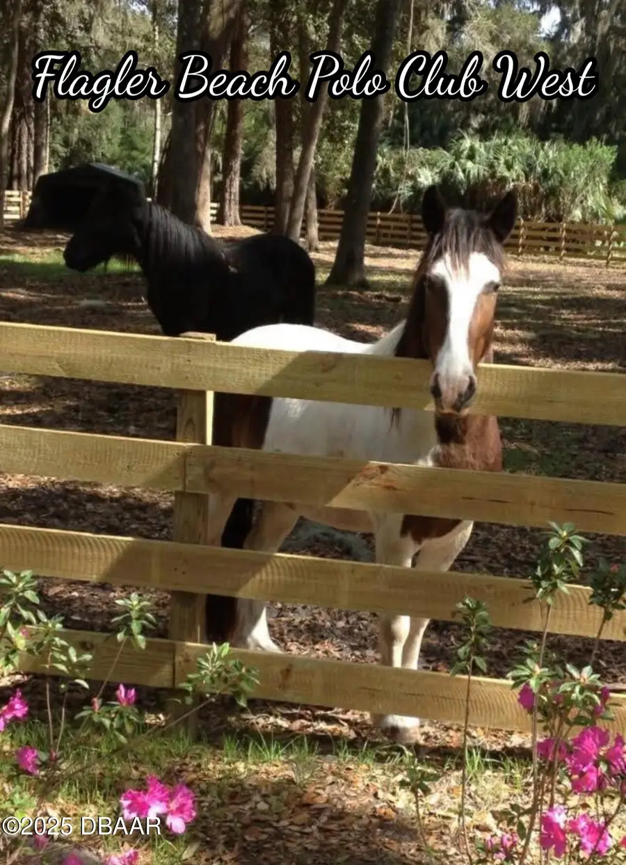 20 Secretariat Lane, Flagler Beach, FL 32136 - #3