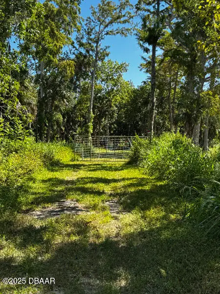 0 Shady Place, Daytona Beach, FL 32114 - Image #3