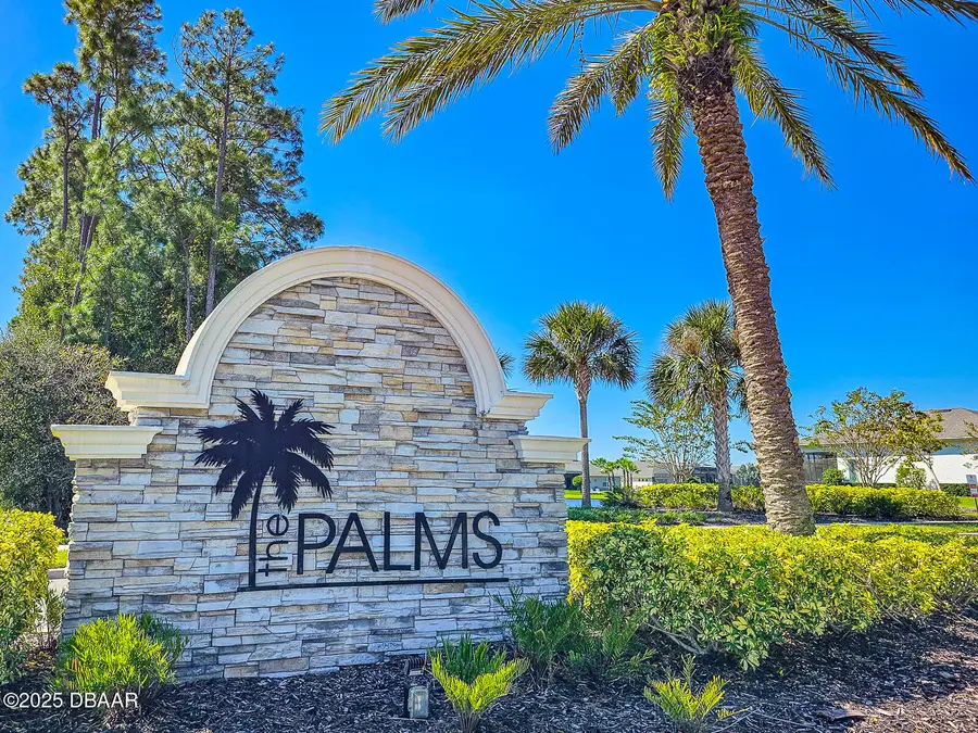 3106 Borassus Drive, New Smyrna Beach, FL 32168 - #2