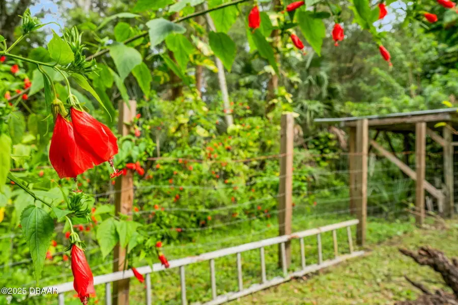 2439 Old Samsula Road, Port Orange, FL 32128 - Image #3