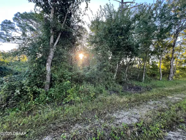 1175 Central Parkway, DeLand, FL 32724