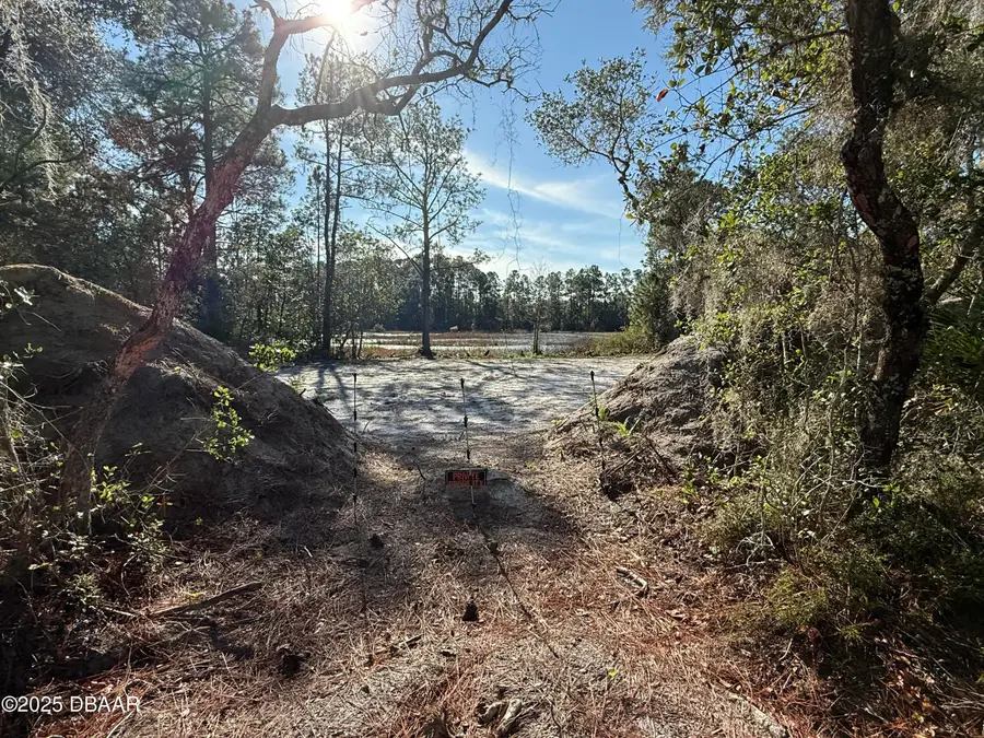 0 Viola Avenue, Eustis, FL 32736 - Image #2