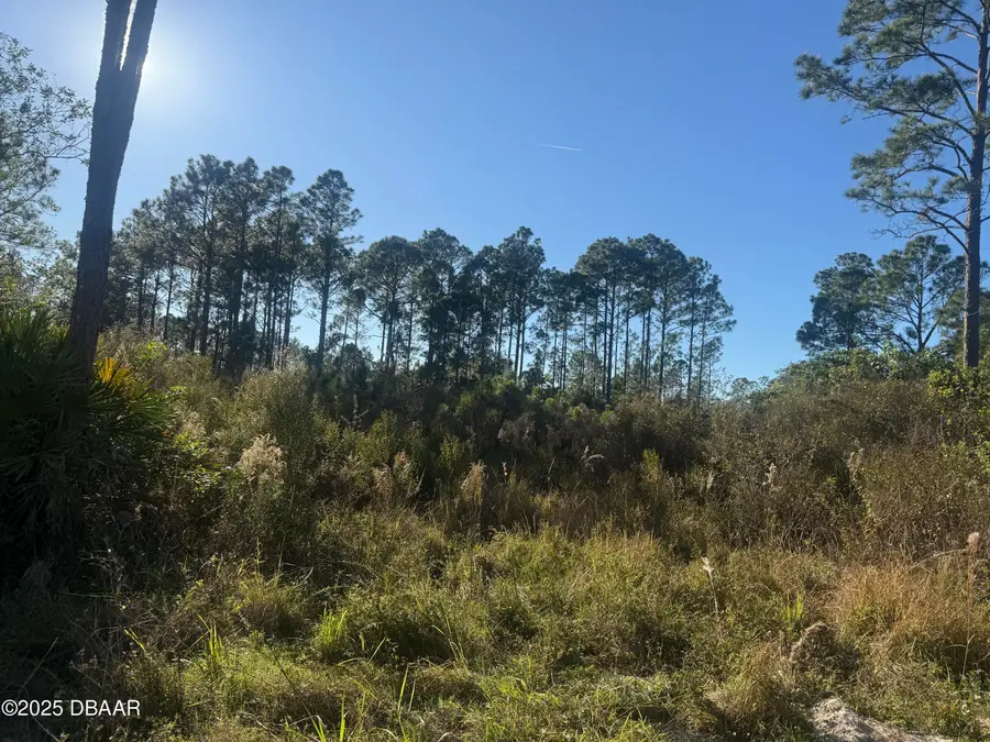 0 Omega Ranch Road, New Smyrna Beach, FL 32168 - Image #3