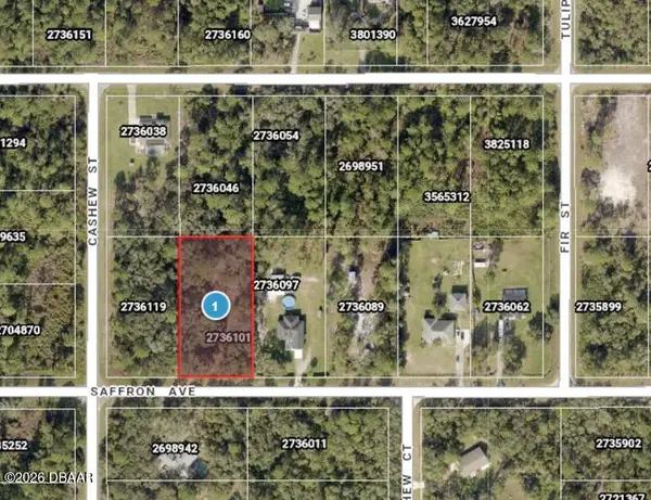 0 Saffron Avenue, Eustis, FL 32736