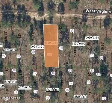 123 W Virginia Street, Hawthorne, FL 32640 - #1