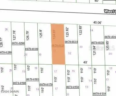 125 W Virginia Street, Hawthorne, FL 32640 - #3