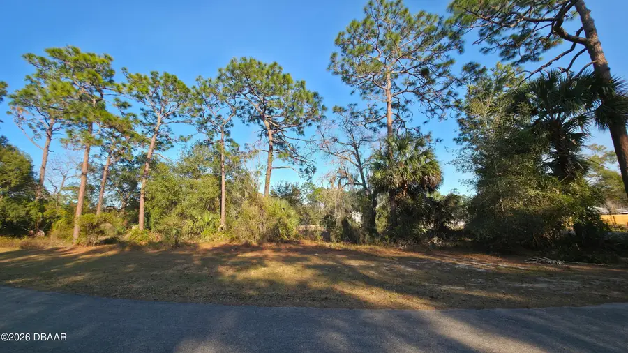 LOT 38 Mardon Circle, Paisley, FL 32767 - Image #3