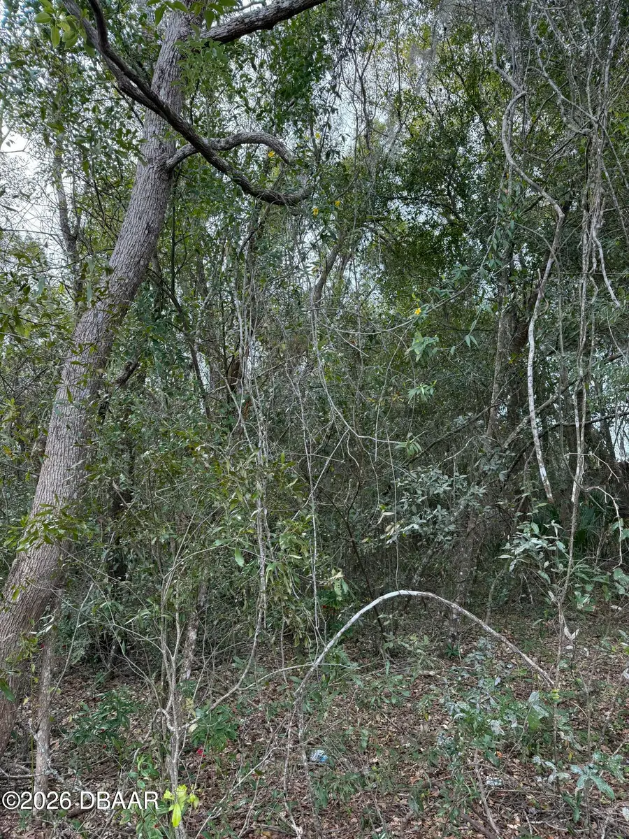 1137 Huntington Road, Crescent City, FL 32112 - #3