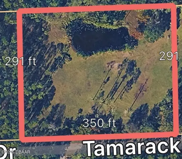 3642 Tamarack Drive, Ormond Beach, FL 32174