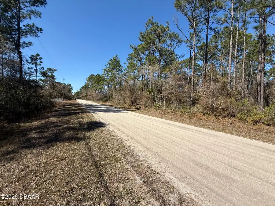 4664 Clove Avenue, Bunnell, FL 32110 - #3