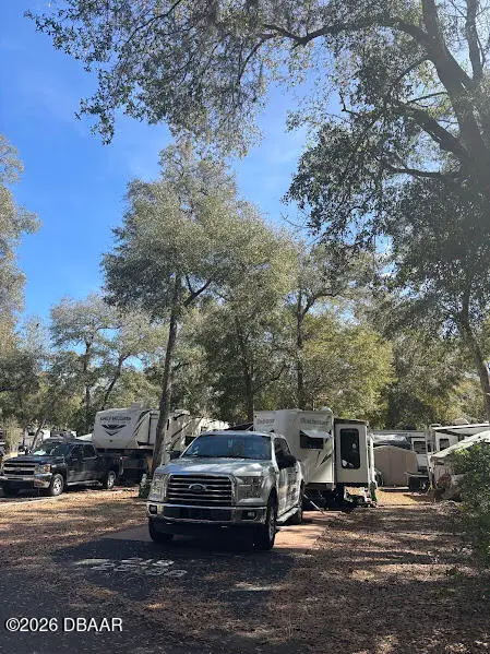 25188 NE 142nd (lot 219) Place, Salt Springs, FL 32134 - #2