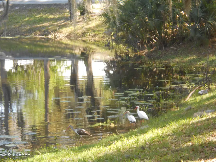 322 Canal Road #D-22, Edgewater, FL 32132 - #3