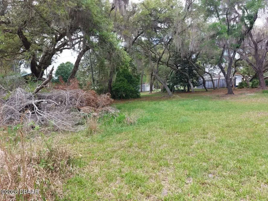 18625 NE 238th Terrace, Fort McCoy, FL 32134 - #3