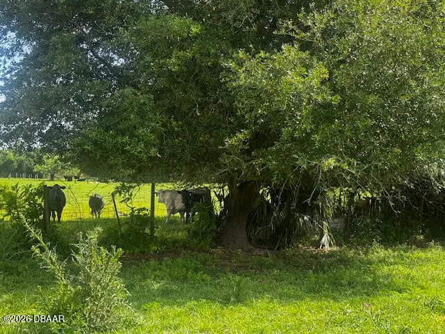 0 N Tymber Creek Road, Ormond Beach, FL 32174 - #3