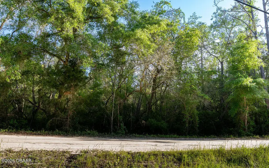 0 Lake Margaret Boulevard, Pomona Park, FL 32181 - #3