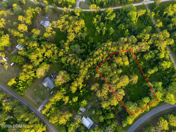 172 Whispering Pines Road, Georgetown, FL 32139