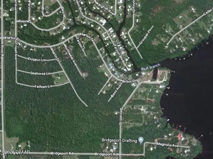 859 W River Road, Palatka, FL 32177 - #3
