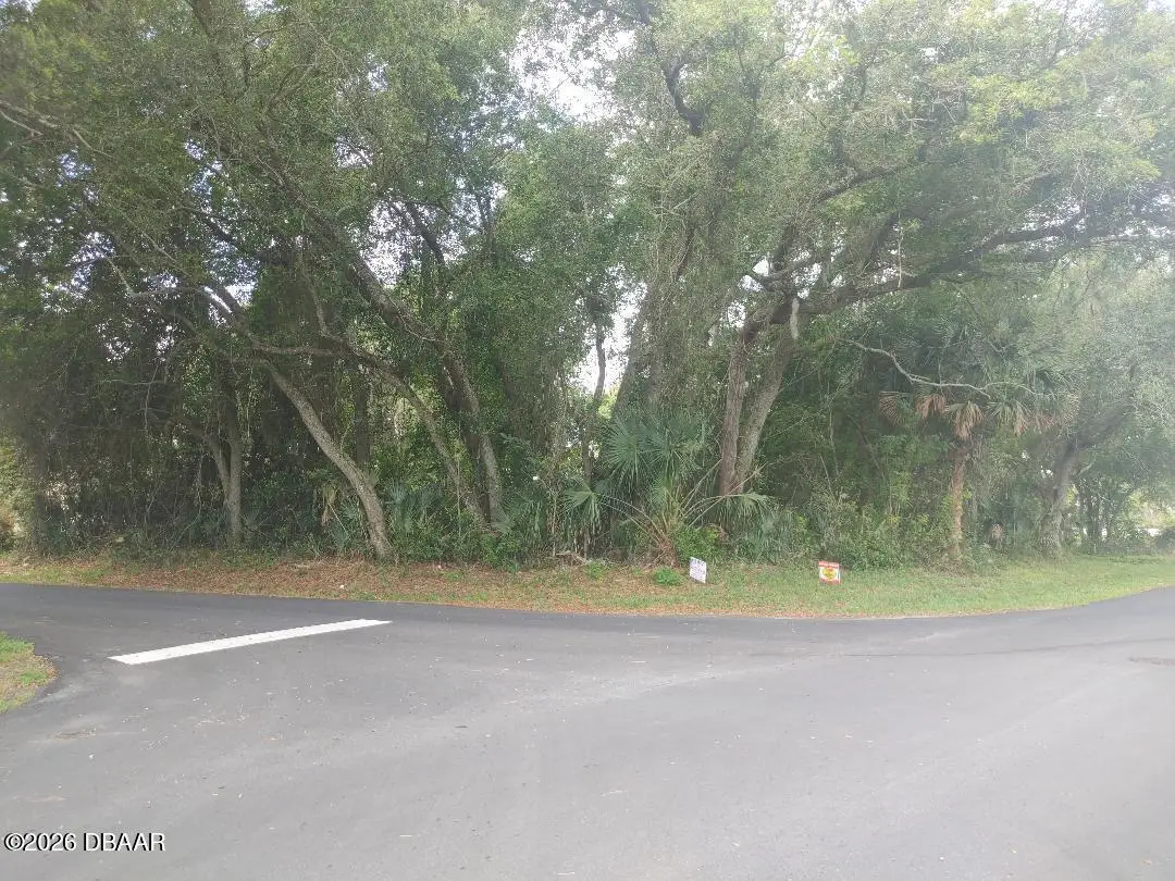 0000 Fern Palm Drive, Edgewater, FL 32141 - #1