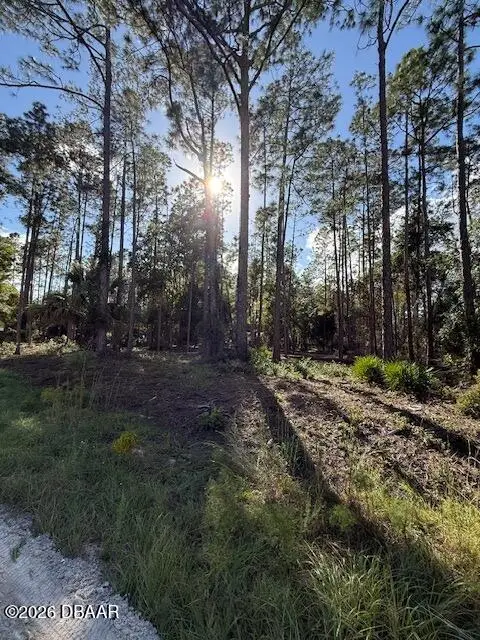 215 Hideaway Lane, Georgetown, FL 32139