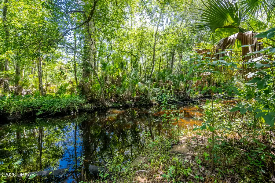 15 River Ridge Trail, Ormond Beach, FL 32174 - #3