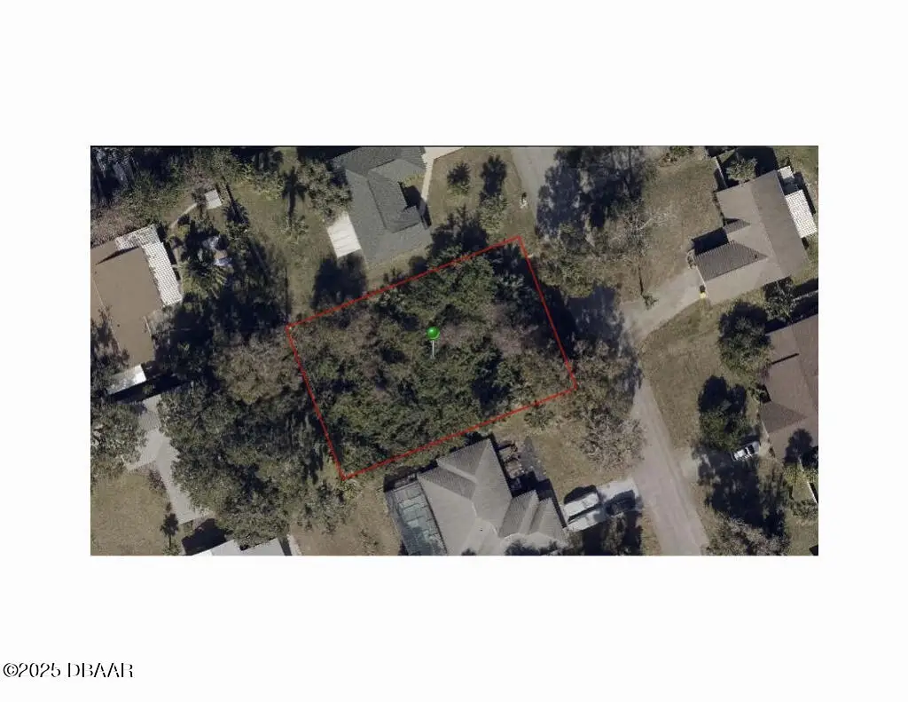 2930 Needle Palm Drive, Edgewater, FL 32141 - #1