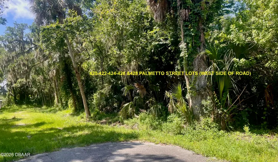 428 Palmetto Street, New Smyrna Beach, FL 32168 - #3
