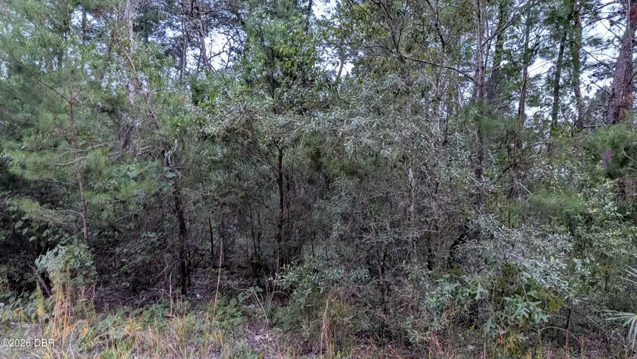 105 Strawberry Lane, Pomona Park, FL 32181 - #2