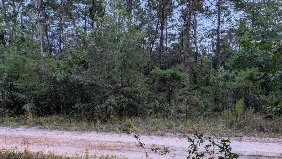 105 Strawberry Lane, Pomona Park, FL 32181 - #3