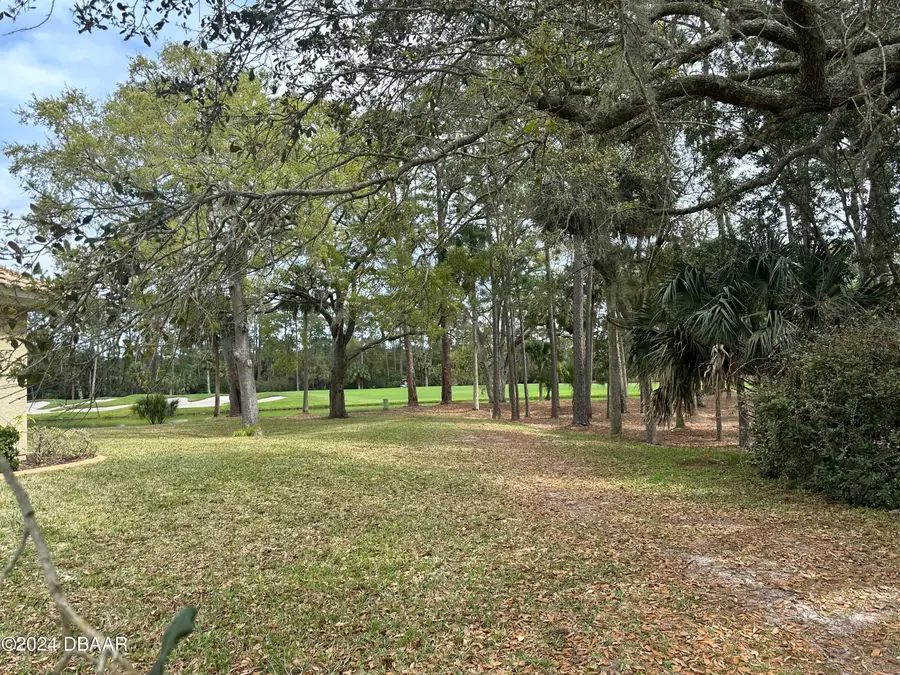 425 Long Cove Road, Ormond Beach, FL 32174 - #3