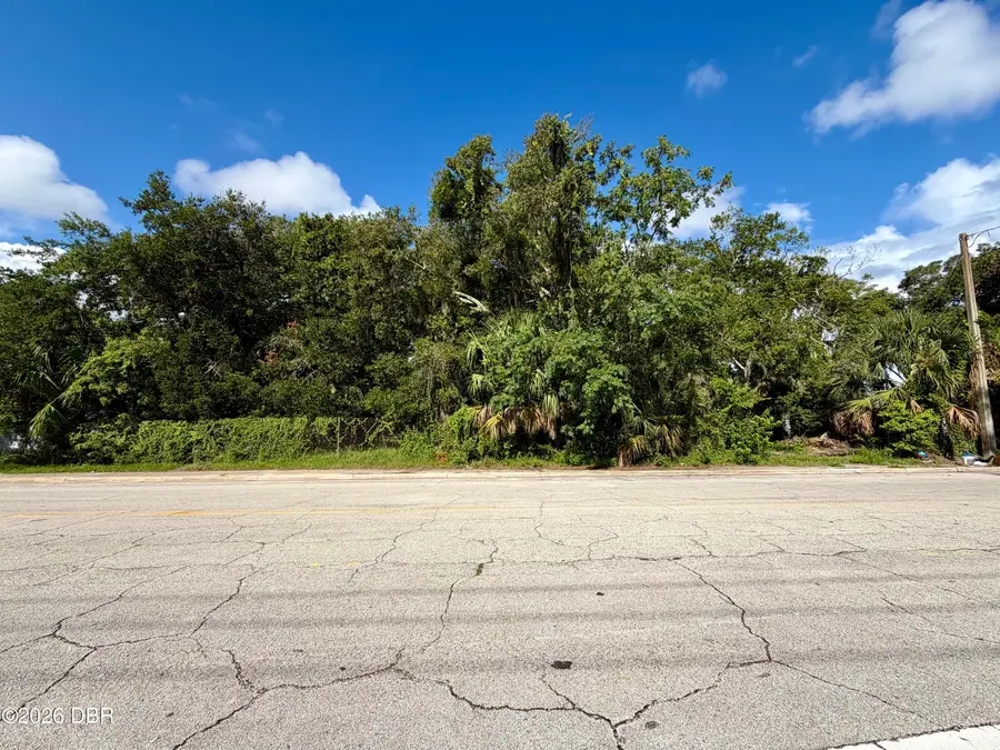 436 N Charles Street, Daytona Beach, FL 32114 - #2