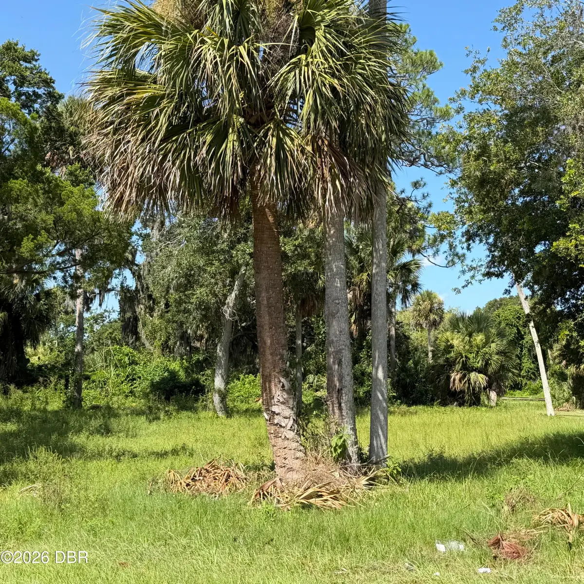 510-512 N Segrave Street, Daytona Beach, FL 32114 - #1