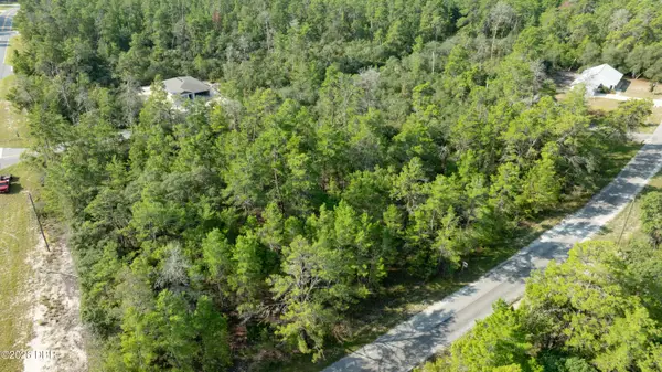 26 Fisher Trail Terrace, Ocklawaha, FL 32179