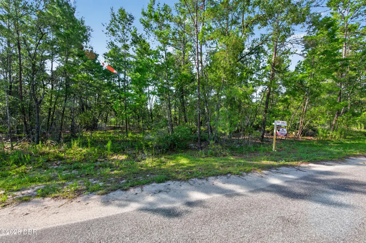 3 Guava Pass, Ocklawaha, FL 32179 - #1