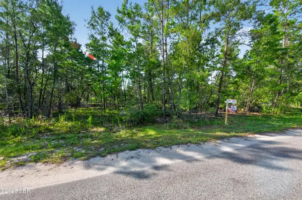 3 Guava Pass, Ocklawaha, FL 32179