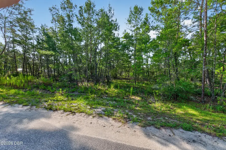 3 Guava Pass, Ocklawaha, FL 32179 - #2