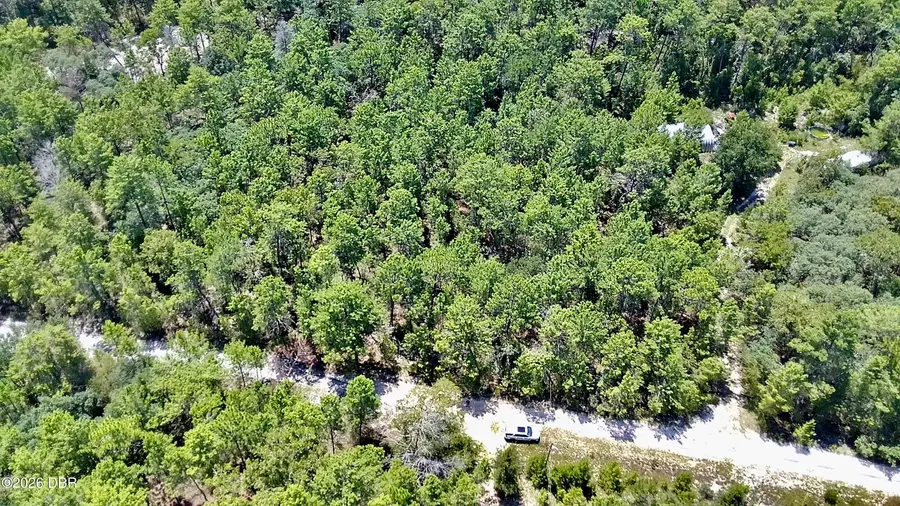 121 Pear Street, Welaka, FL 32193 - #2