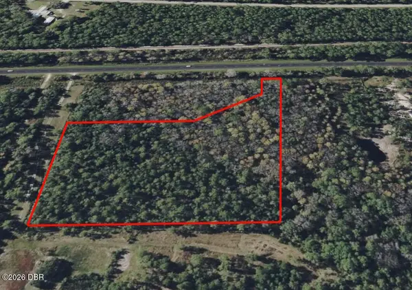 0 S Us Hwy 17 Highway, Pierson, FL 32180