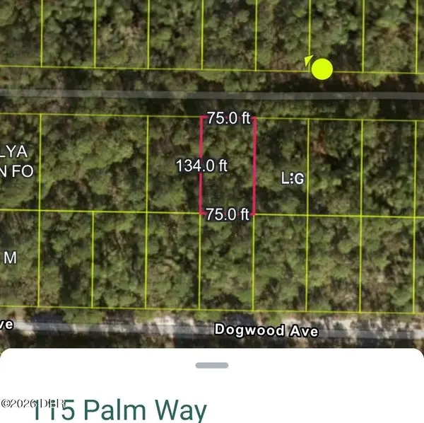 115 Palm Way, Georgetown, FL 32139