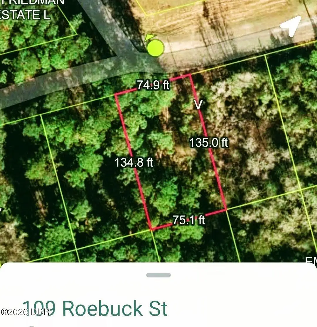 109 Roebuck Road, Georgetown, FL 32139 - #1