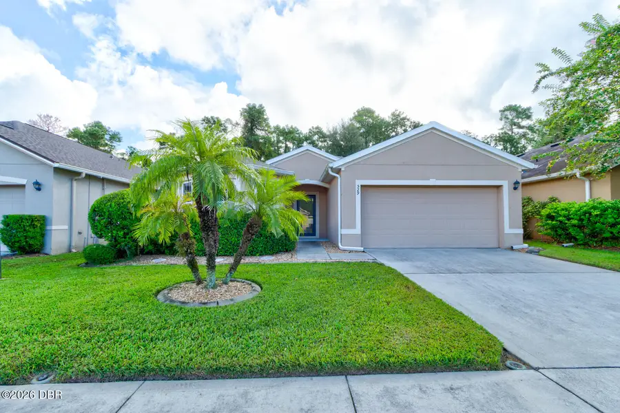 529 White Coral Lane, New Smyrna Beach, FL 32168 - #3