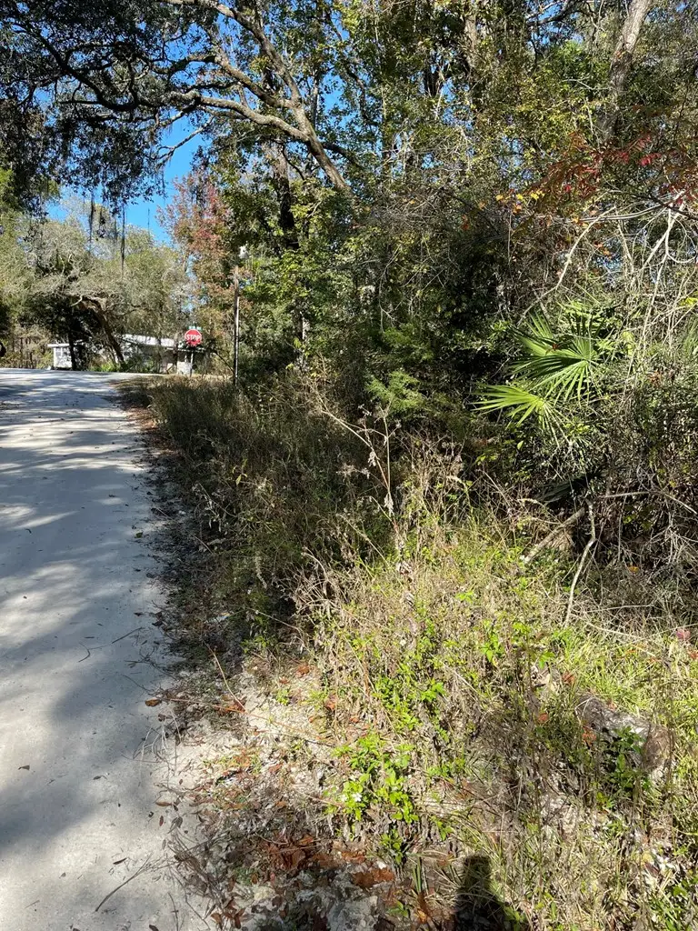 SE 932nd St, Old Town, FL 32680 - #2