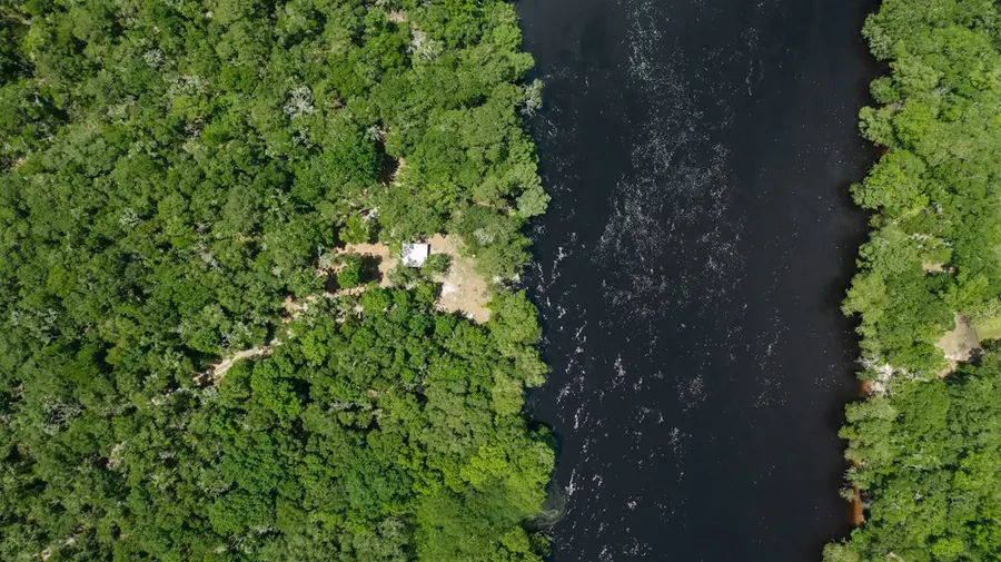 00 NW 57th Pl, Bell, FL 32619 - #2