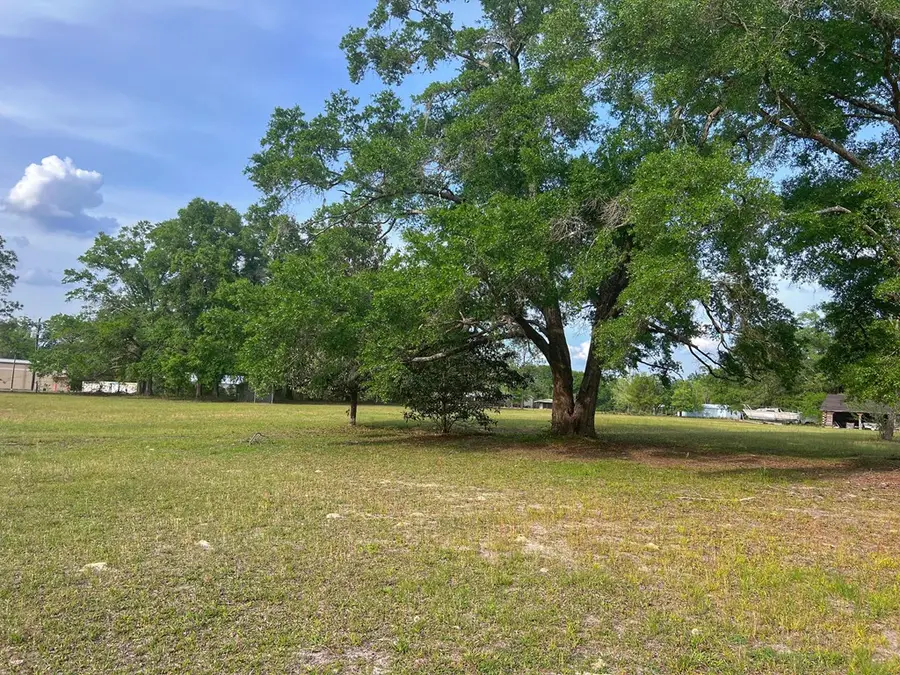 00 N Main St, Bell, FL 32619 - #2