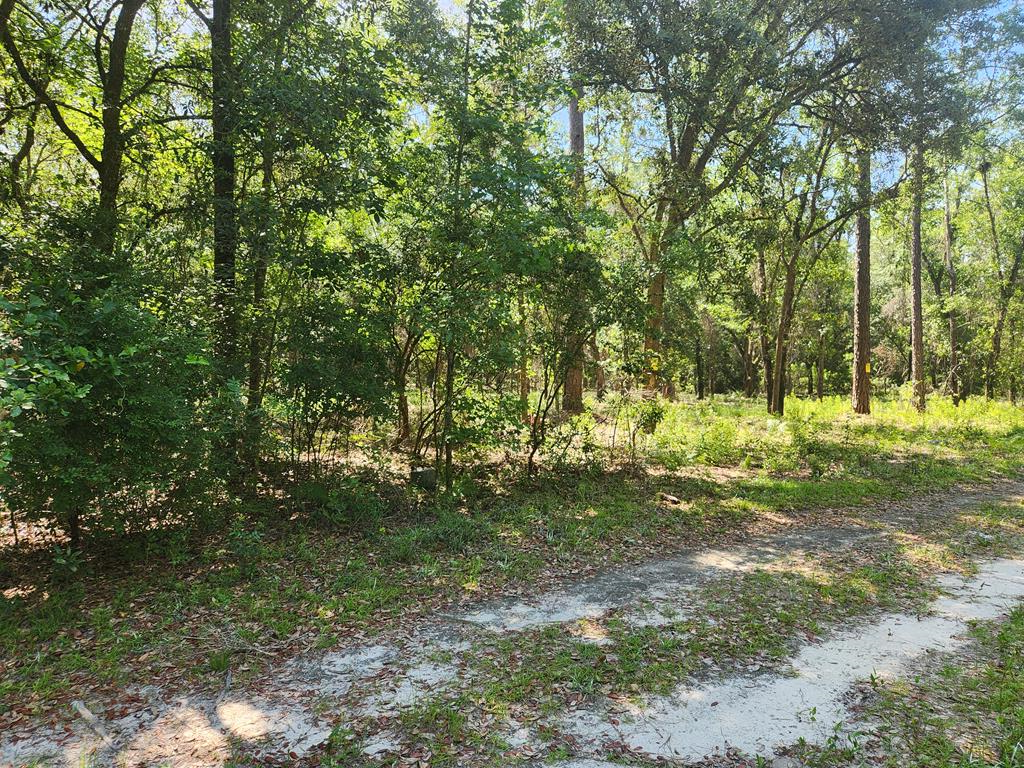 Lot 237 NW 45th Ave, Jasper, FL 32052 - #1