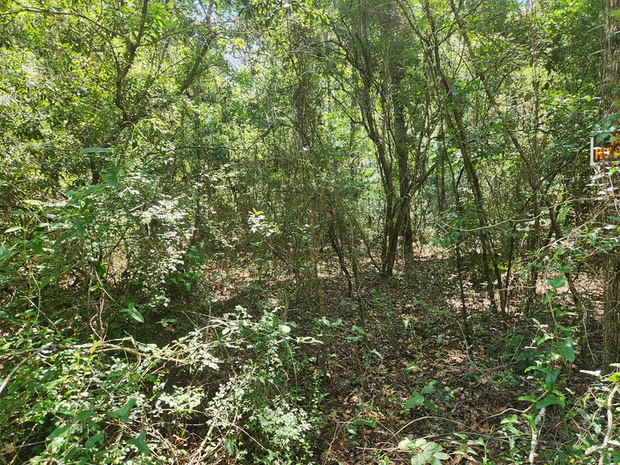 Lot 237 NW 45th Ave, Jasper, FL 32052 - #3