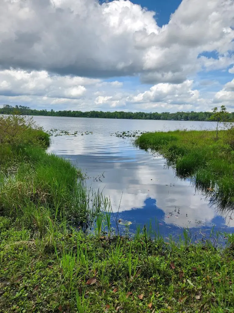 122nd Ln, Hawthorne, FL 32640 - #2