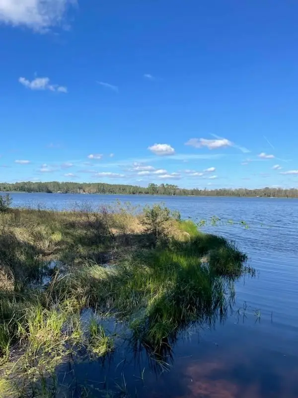 122nd Ln, Hawthorne, FL 32640 - #3