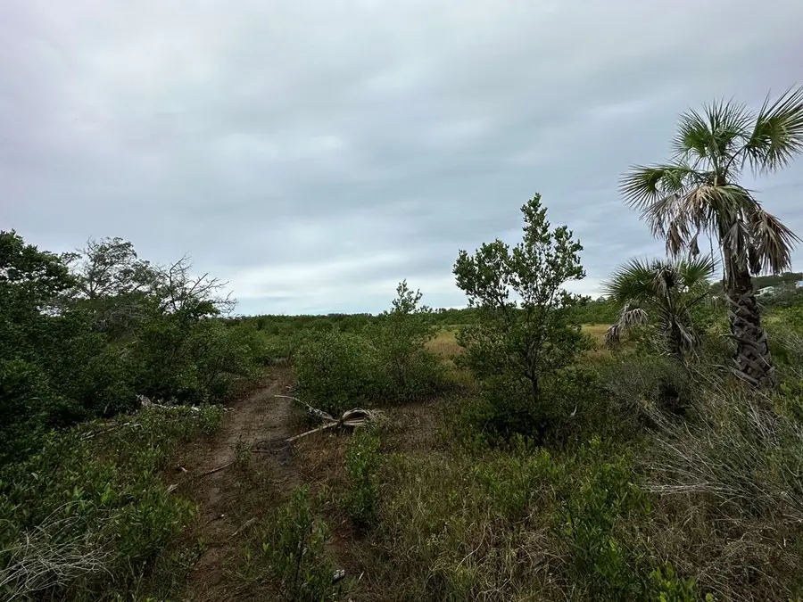 5 Lots Ingleside Pl, Cedar Key, FL 32625 - #3