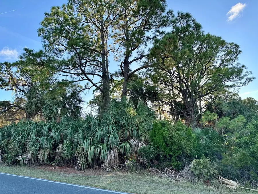 5 Lots Gulf Blvd, Cedar Key, FL 32625 - #3