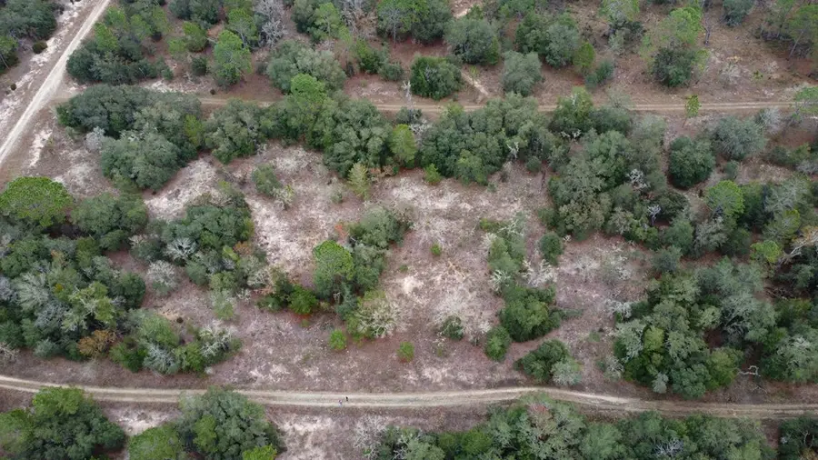 00 NE 147th Ter, Williston, FL 32696 - #2